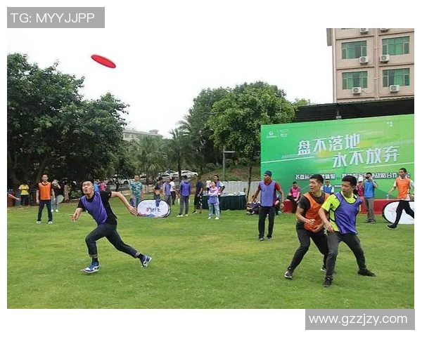 飞盘战术与团队协作:探秘西安飞盘队的成功运营模式与发展策略